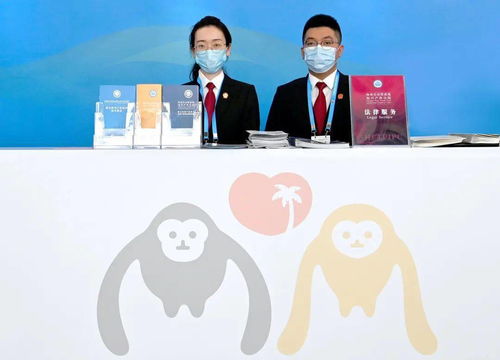 海南自由贸易港知识产权法院全力护航消博会 打造知识产权保护新高地