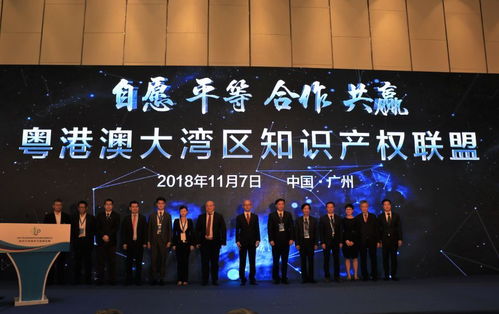 成立粤港澳大湾区知识产权联盟 黄埔区广州开发区为企业创新发展赋能