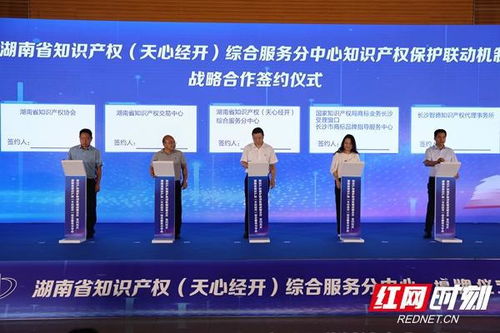 全国首创“五合一”模式落地 湖南省知识产权综合服务分中心在天心经开区揭牌